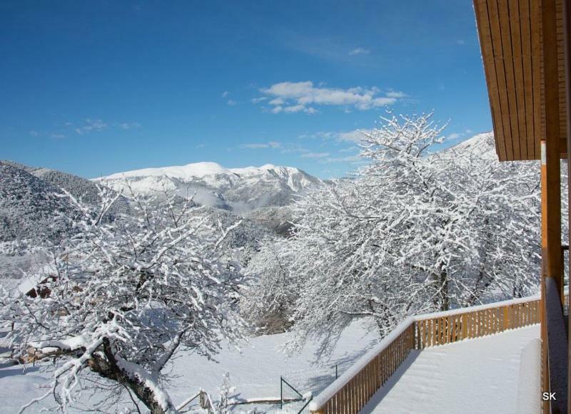 Les Chalets Fleurs De France - Kota Saint-Dalmas Bagian luar foto